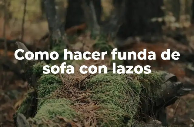 Como Hacer Funda de Sofa con Lazos