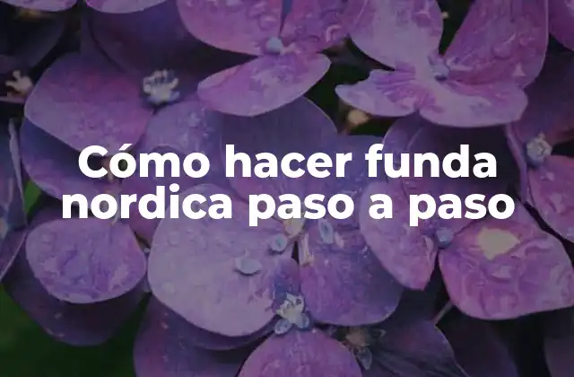 Cómo Hacer Funda Nordica Paso a Paso