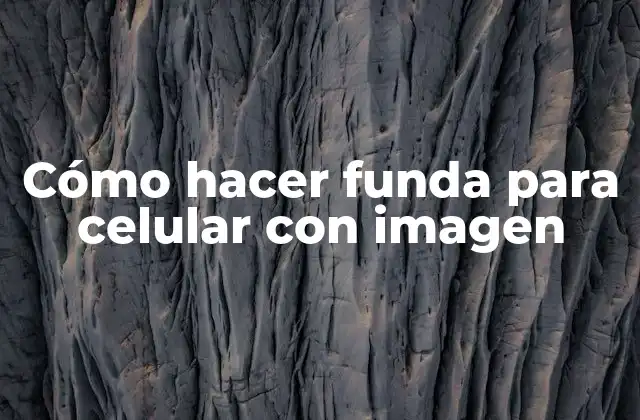 Cómo Hacer Funda para Celular con Imagen 2 Cómo hacer funda para celular con imagen