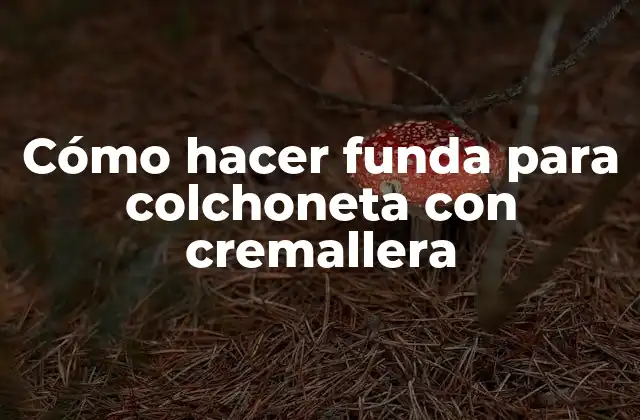 Cómo Hacer Funda para Colchoneta con Cremallera