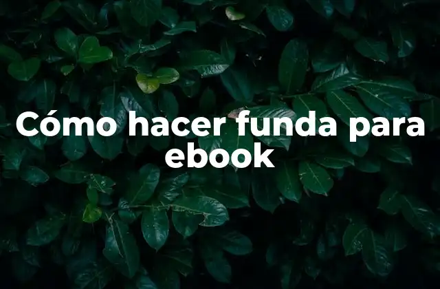 Cómo Hacer Funda para Ebook