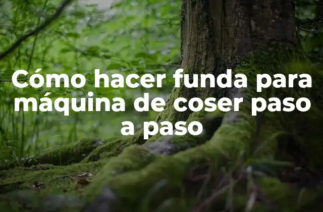 Cómo Hacer Funda para Máquina de Coser Paso a Paso