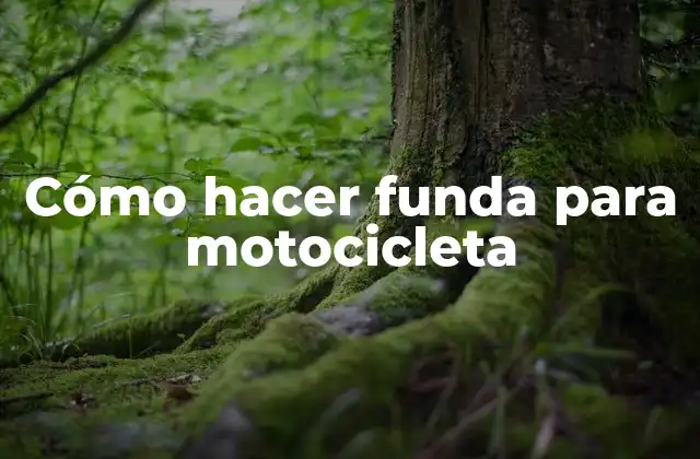 Cómo Hacer Funda para Motocicleta