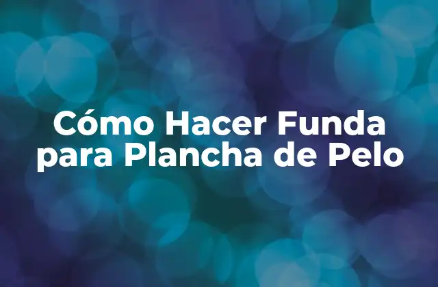 Cómo Hacer Funda para Plancha de Pelo