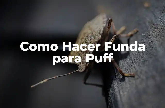 Como Hacer Funda para Puff