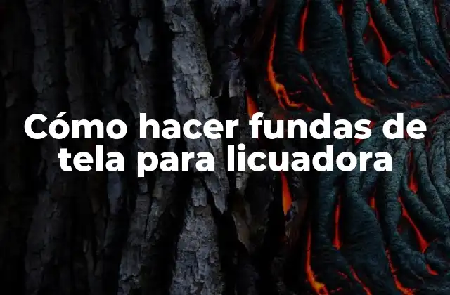 Cómo Hacer Fundas de Tela para Licuadora