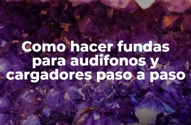 Que son las fundas para audifonos y cargadores y para qué sirven