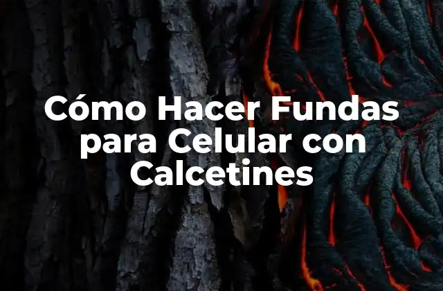 Cómo Hacer Fundas para Celular con Calcetines