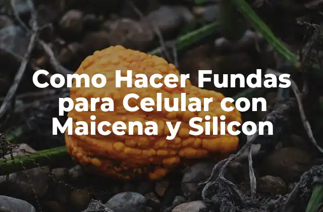 Como Hacer Fundas para Celular con Maicena y Silicon