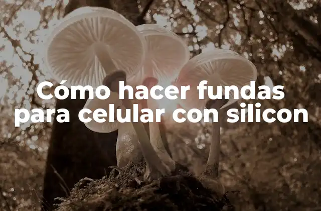 Cómo hacer fundas para celular con silicon