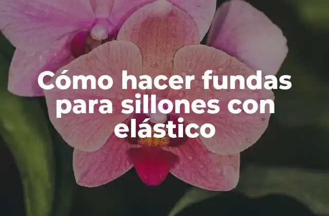 Cómo Hacer Fundas para Sillones con Elástico