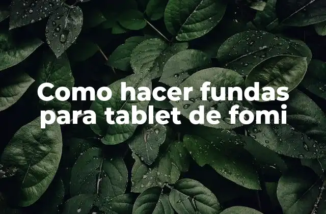 Como Hacer Fundas para Tablet de Fomi