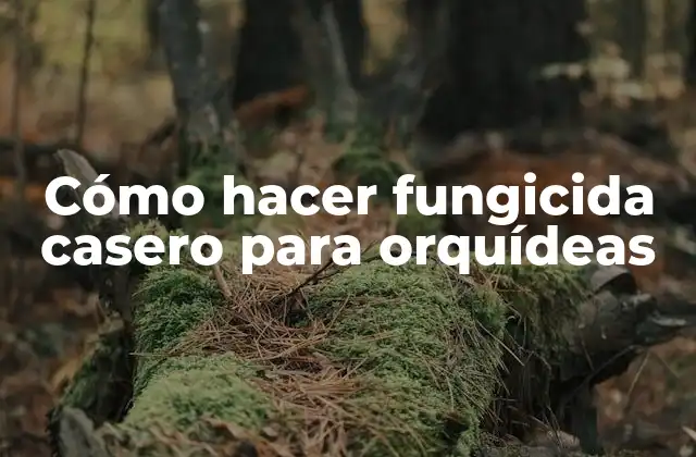 Cómo Hacer Fungicida Casero para Orquídeas