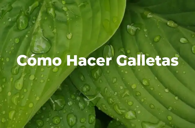 Cómo Hacer Galletas 30 Qué son las Galletas y Cómo se Usan