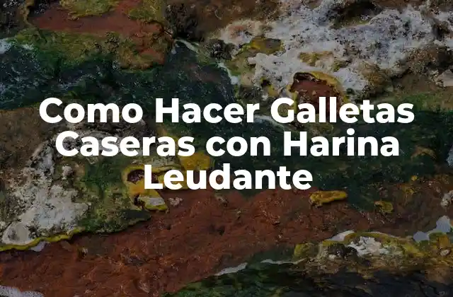 Como Hacer Galletas Caseras con Harina Leudante