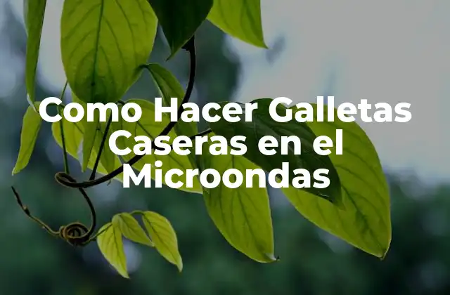 ¿Qué son las Galletas Caseras en el Microondas?