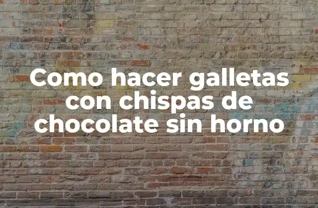 Como Hacer Galletas con Chispas de Chocolate sin Horno 2 ¿Qué son galletas con chispas de chocolate sin horno?