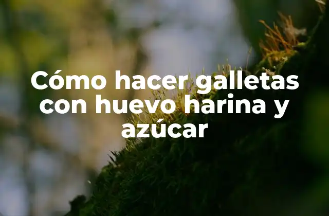 Cómo Hacer Galletas con Huevo Harina y Azúcar