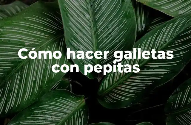 Cómo hacer galletas con pepitas