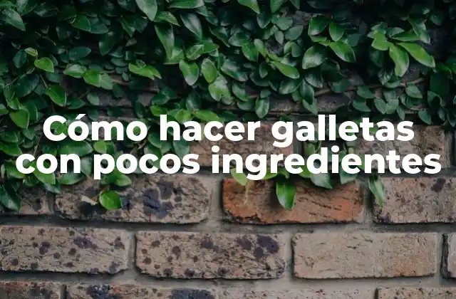 Cómo Hacer Galletas con Pocos Ingredientes