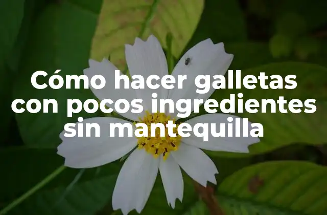 Cómo Hacer Galletas con Pocos Ingredientes sin Mantequilla 2 ¿Qué es una galleta sin mantequilla y para qué sirve?
