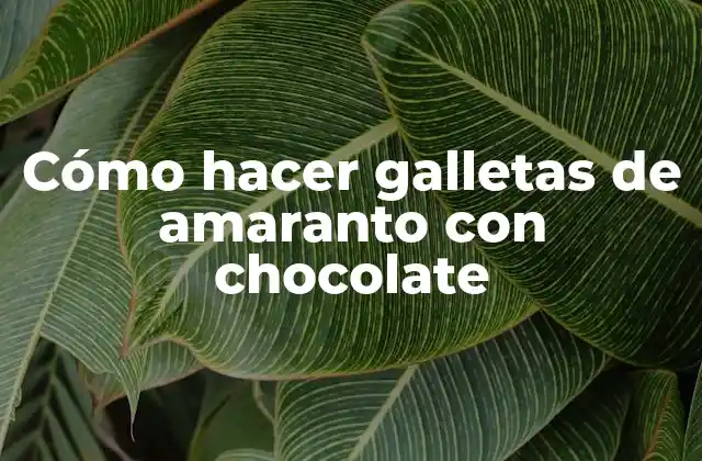 Cómo Hacer Galletas de Amaranto con Chocolate