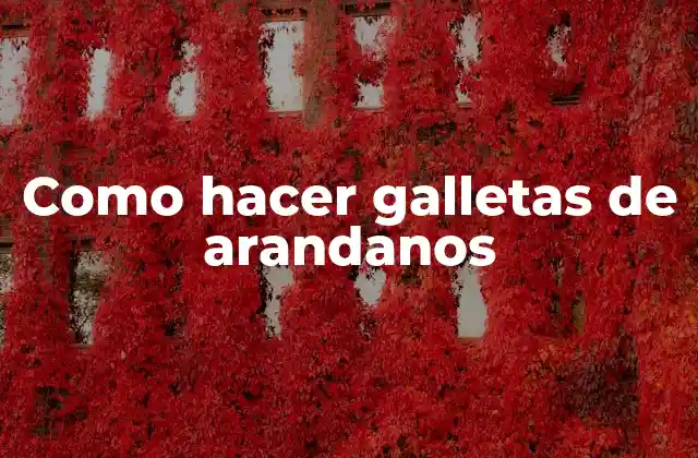 Como Hacer Galletas de Arandanos