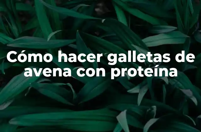 Cómo Hacer Galletas de Avena con Proteína
