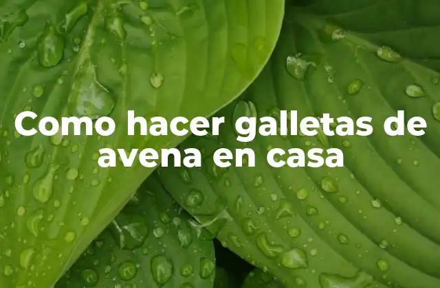 Como Hacer Galletas de Avena en Casa