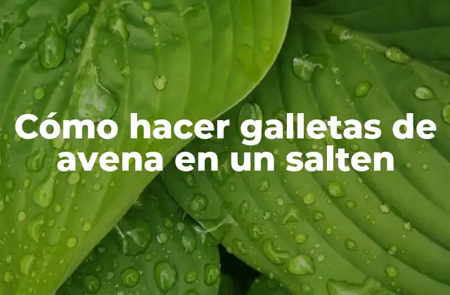Cómo Hacer Galletas de Avena en un Salten