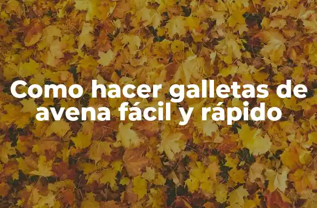 ¿Qué son las galletas de avena y para qué sirven?