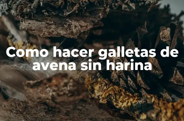 Como Hacer Galletas de Avena sin Harina