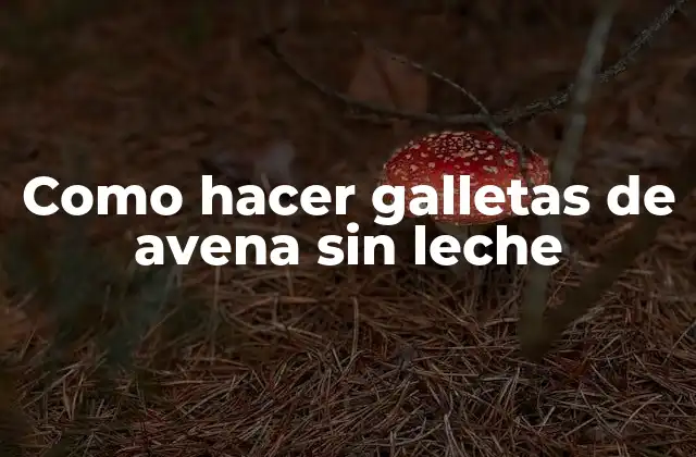 Como Hacer Galletas de Avena sin Leche