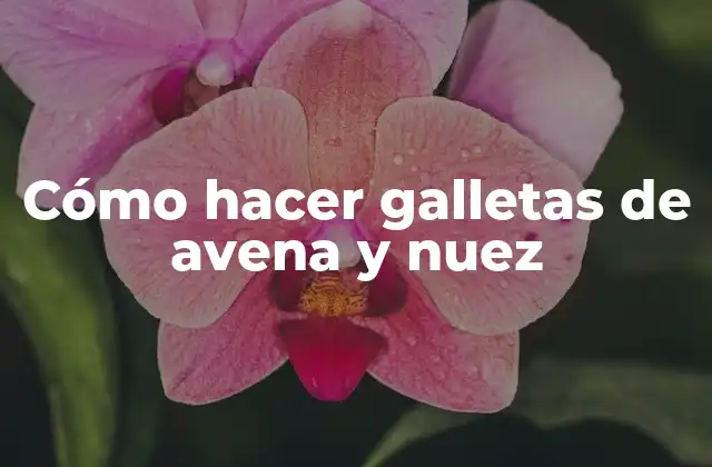 Cómo Hacer Galletas de Avena y Nuez