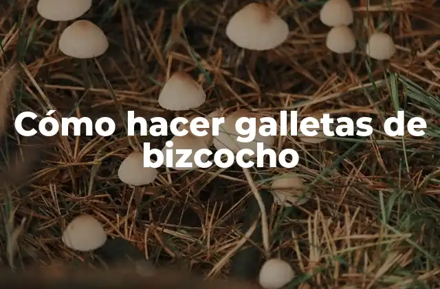 Cómo Hacer Galletas de Bizcocho