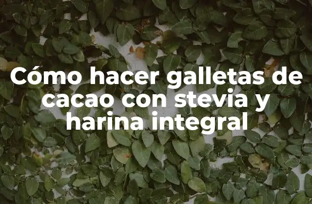 Cómo Hacer Galletas de Cacao con Stevia y Harina Integral