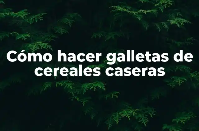 Galletas de cereales caseras: qué son y para qué sirven