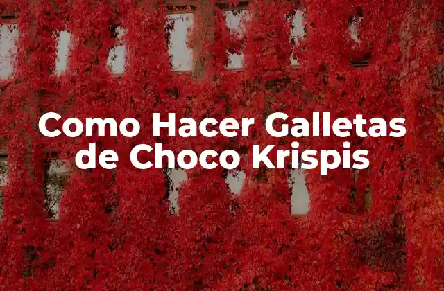Como Hacer Galletas de Choco Krispis