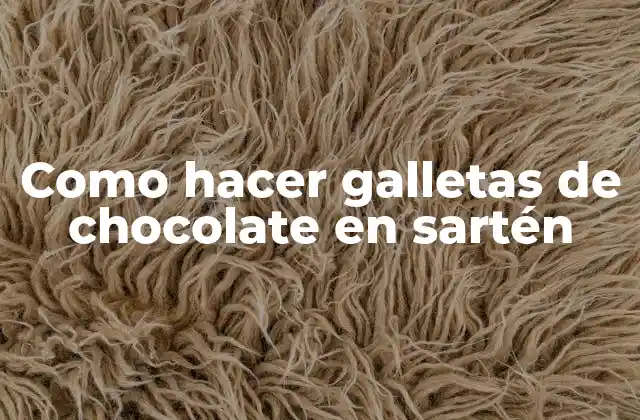 Como Hacer Galletas de Chocolate en Sartén
