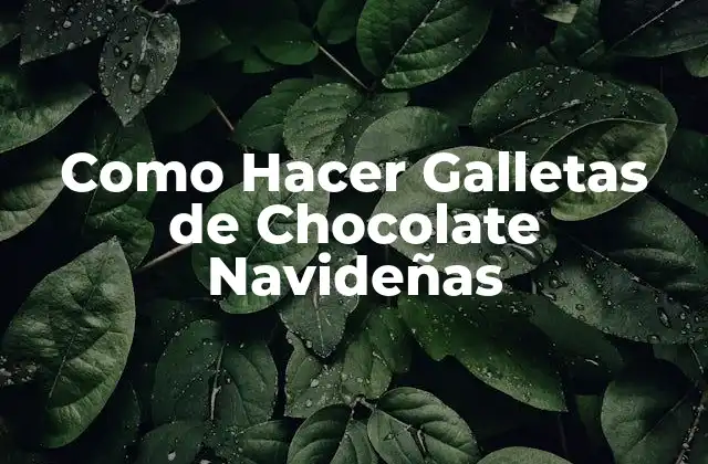 Como Hacer Galletas de Chocolate Navideñas
