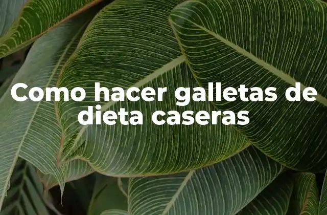 Como Hacer Galletas de Dieta Caseras