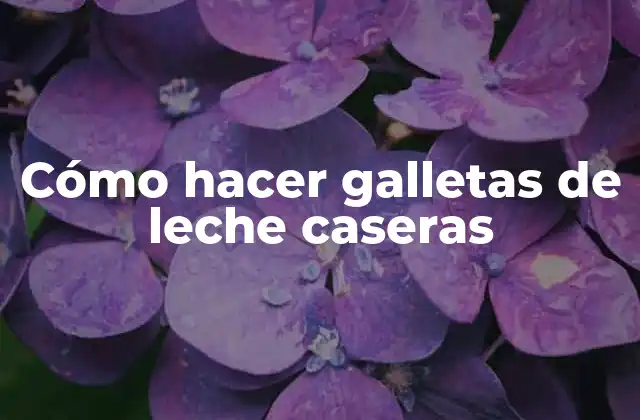 ¿Qué son galletas de leche caseras y para qué sirven?
