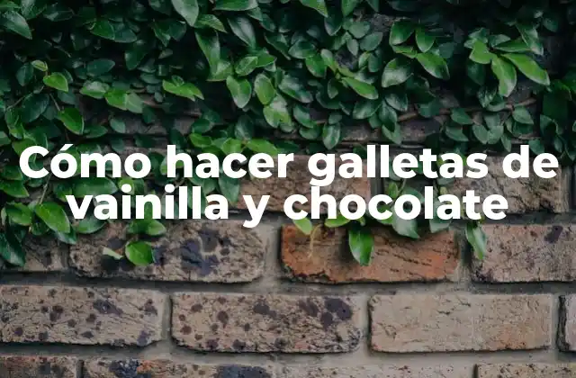 Cómo Hacer Galletas de Vainilla y Chocolate
