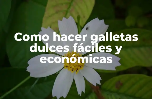Como Hacer Galletas Dulces Fáciles y Económicas