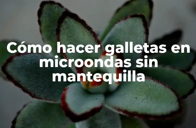 Cómo Hacer Galletas en Microondas sin Mantequilla