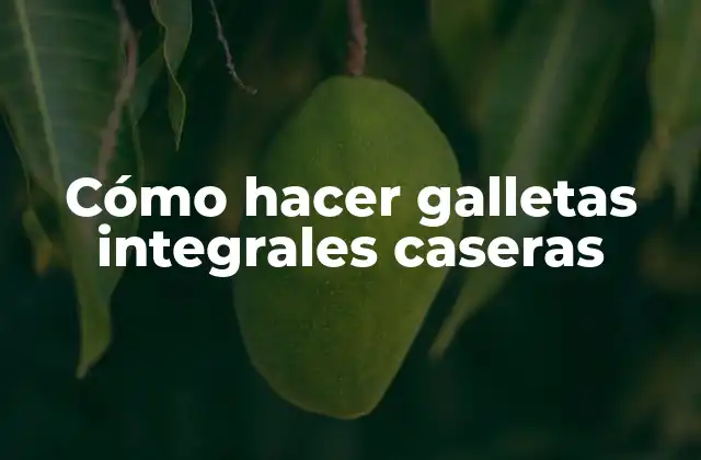 Cómo Hacer Galletas Integrales Caseras