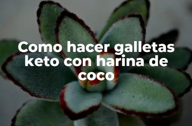 Como Hacer Galletas Keto con Harina de Coco