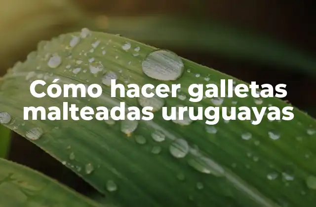 Cómo Hacer Galletas Malteadas Uruguayas