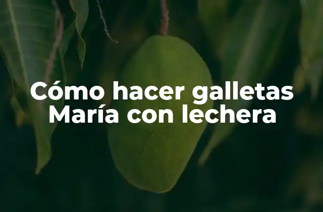 Cómo Hacer Galletas María con Lechera