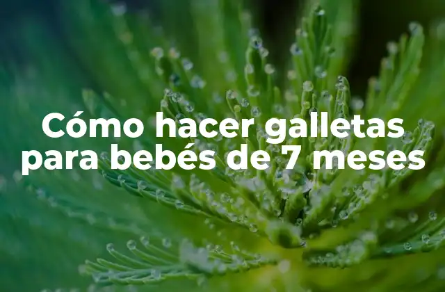 Cómo Hacer Galletas para Bebés de 7 Meses